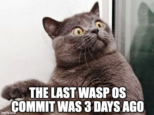 Suprised grey cat with green eyes "The last wasp os commit was 3 days ago"